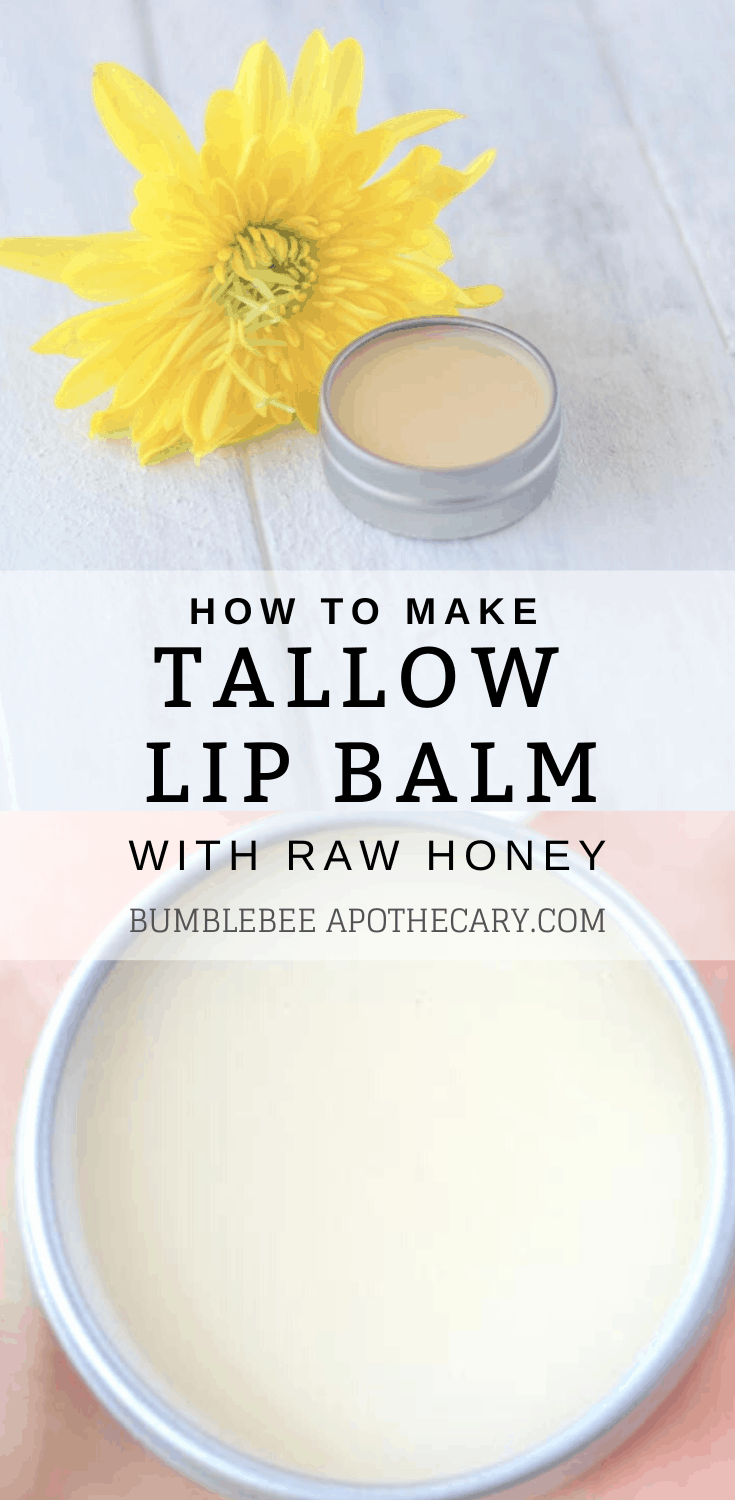 Tallow Lip Balm Recipe With Honey Bumblebee Apothecary