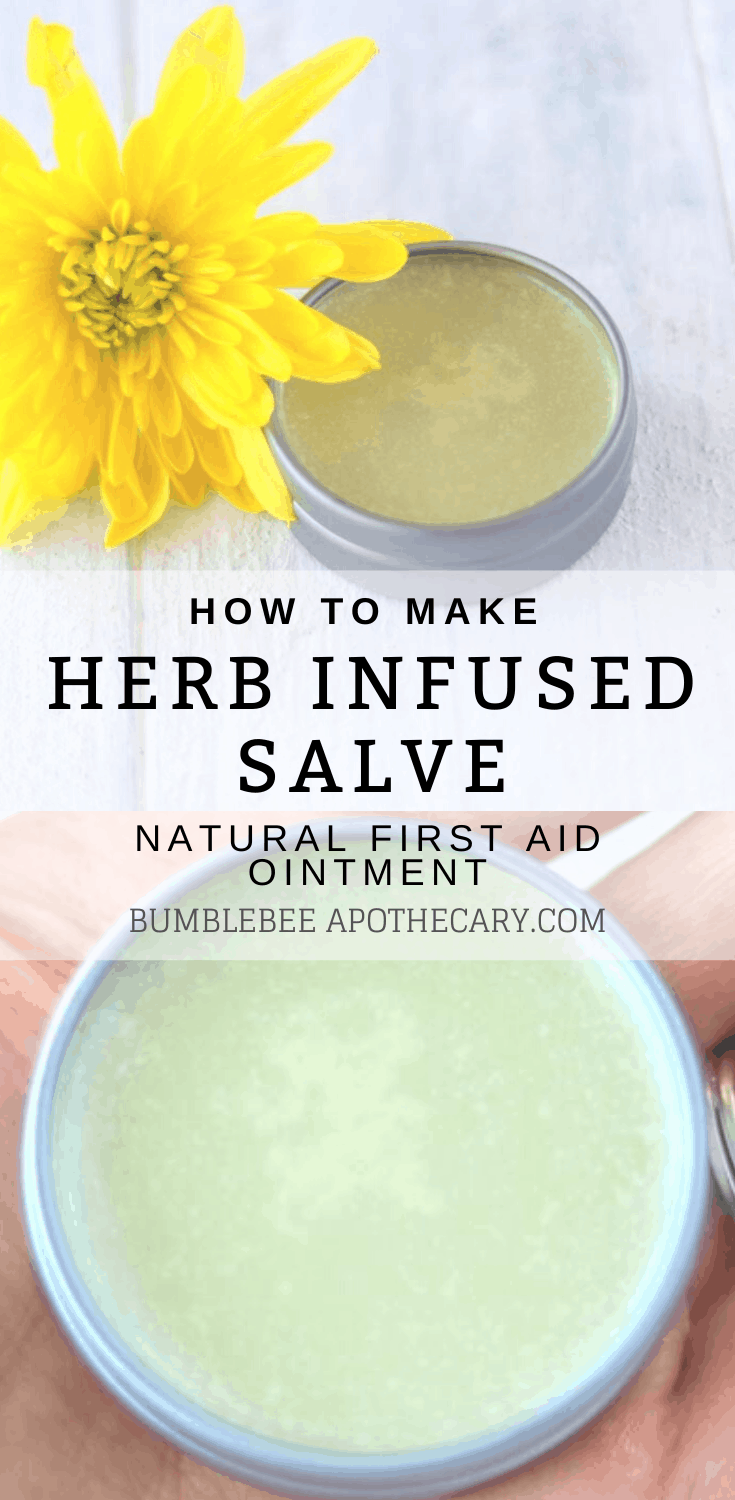 How to Make Herb Infused Tallow Salve Bumblebee Apothecary
