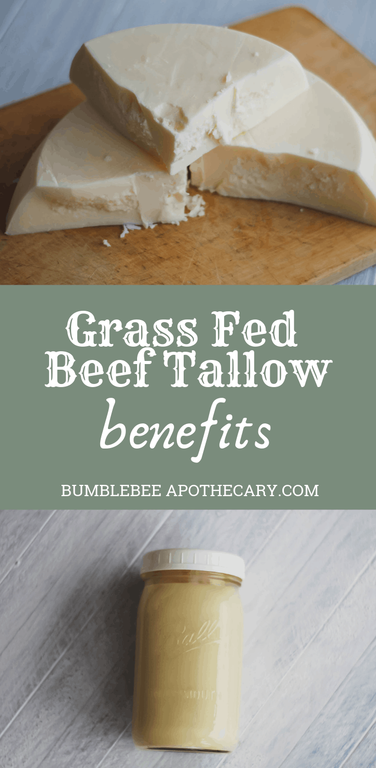 Beef Tallow Benefits - Bumblebee Apothecary