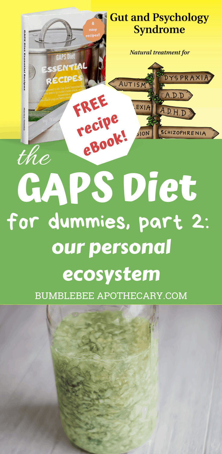 The GAPS Diet for Dummies, Part 2 with a FREE GAPS Diet Essential Recipes eBook! #gaps #gapsdiet #ebook #free #recipes #gapsrecipes #ecosystem #healleakygut #healallergies #healeczema #meatheals
