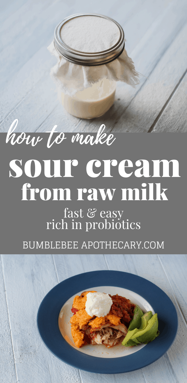 How to Make Sour Cream from Raw Milk Bumblebee Apothecary