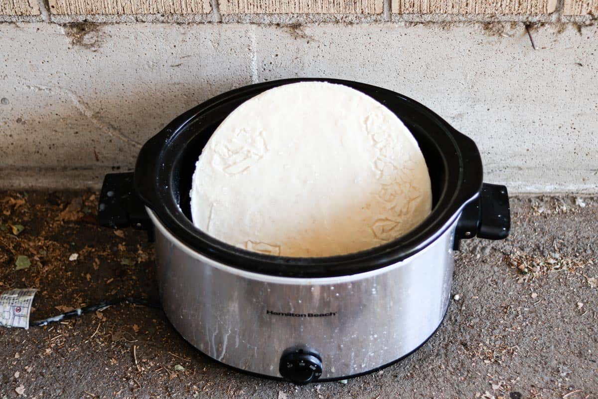 How to Render and Purify Tallow So That it is Odorless and White