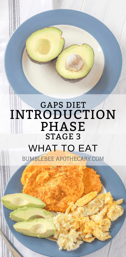This guide to the GAPS diet introduction phase stage 3 is awesome! It makes it so easy to start the GAPS diet and takes away the overwhelm. I'm going through it with my son right now and this has been super helpful. #gapsdiet #leakygut #allergies #eczema #autism #healleakygut