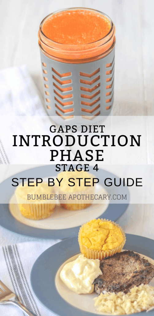 This is a really helpful series! It is guiding me through the GAPS diet introduction phase, and this one explains stage 4. This blog is so full of helpful GAPS recipes and info! #gapsdiet #healleakygut #gapsintro #healallergies #healautism 