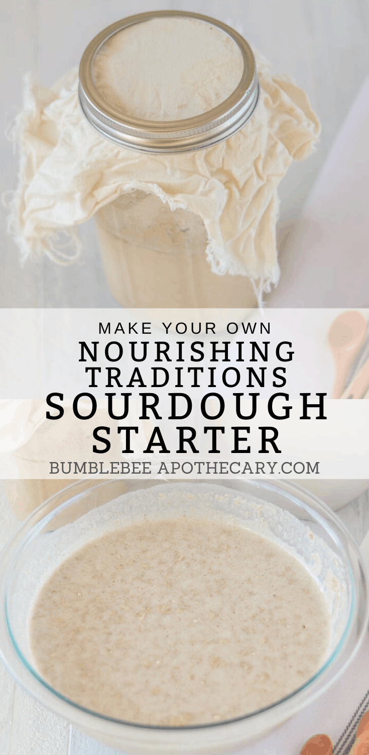 Nourishing Traditions Sourdough Starter - Bumblebee Apothecary