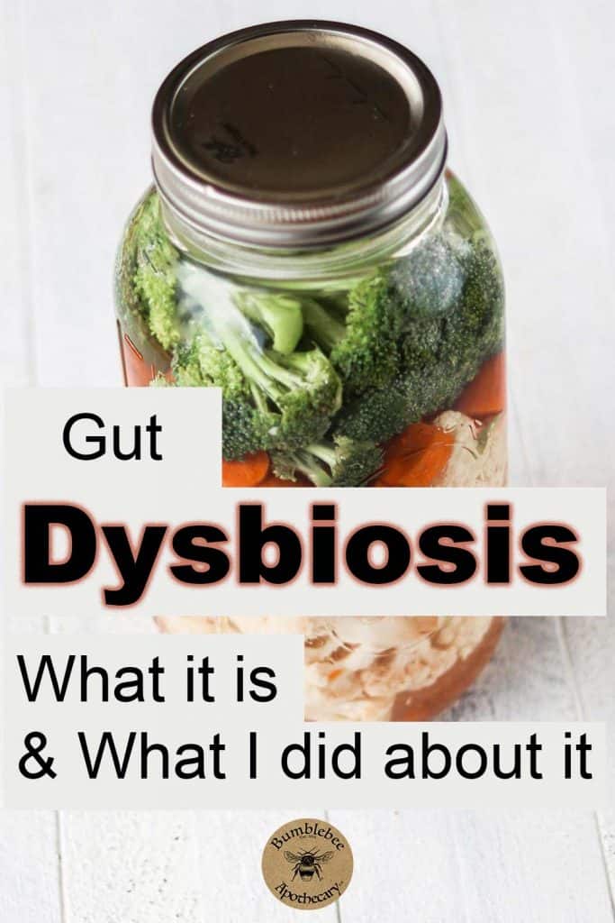 What I did and the diet I followed when I overcame gut dysbiosis. #gut #dysbiosis #diet