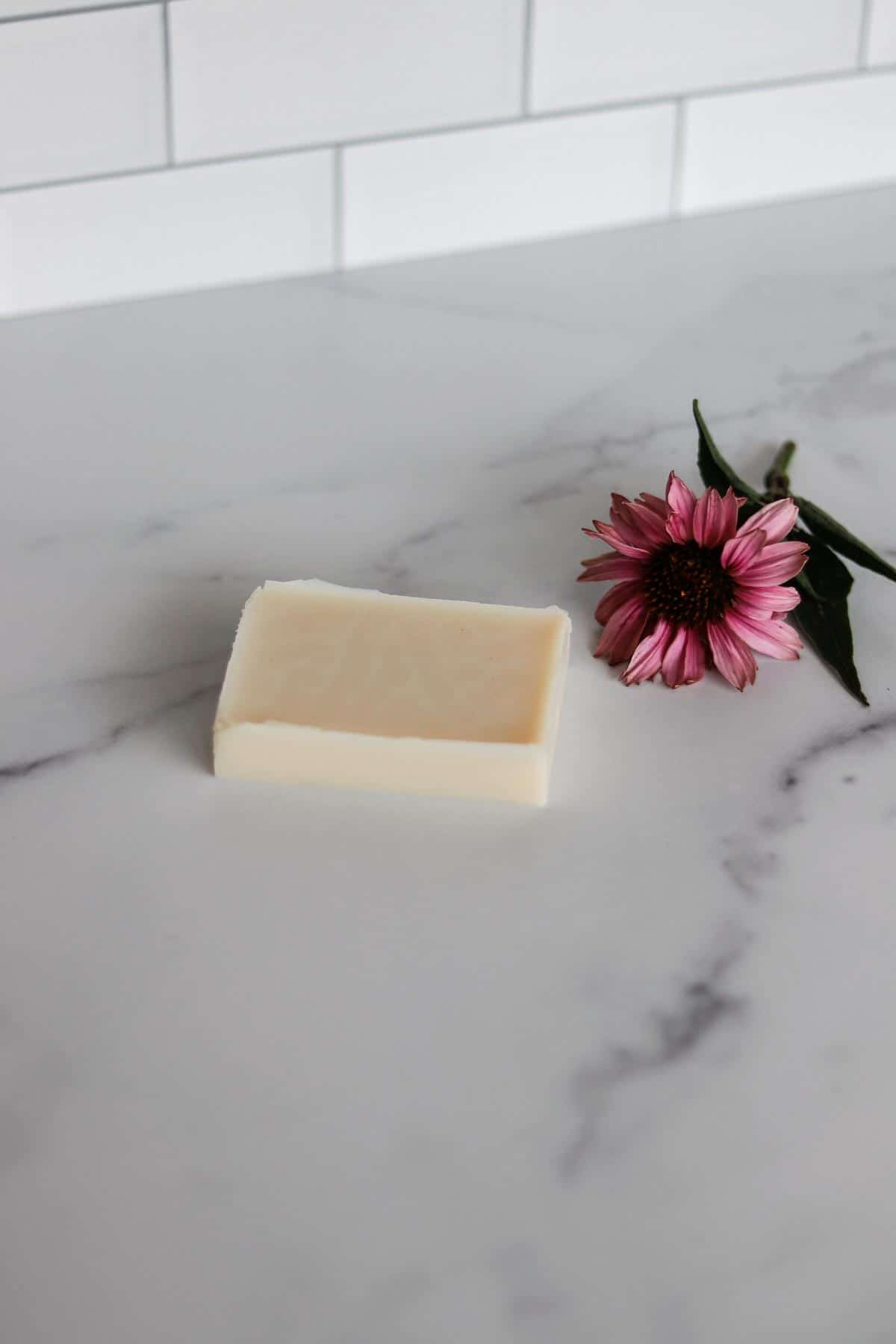 Tallow Lotion Bar Recipe Bumblebee Apothecary