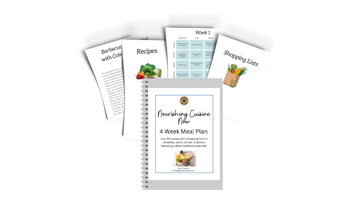 Wise Traditions Meal Plan Mockup (1200 × 700 px)