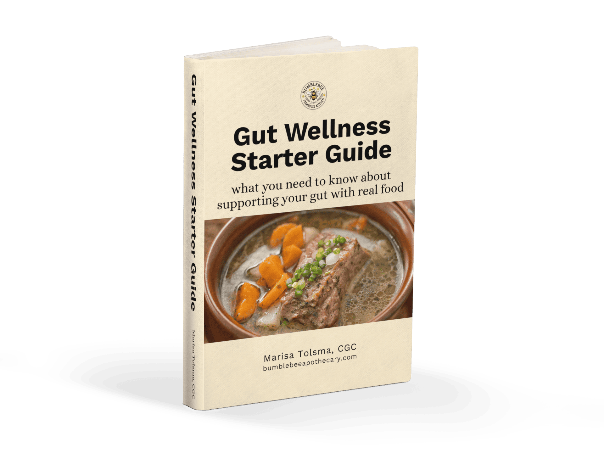 e-book-cover-mockup-template-over-transparent-background-a9862 gut wellness starter guide