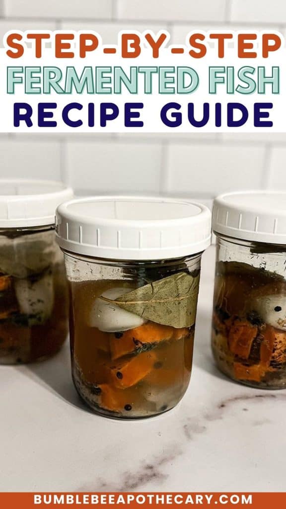 Fermented fish recipe and tutorial for GAPS diet